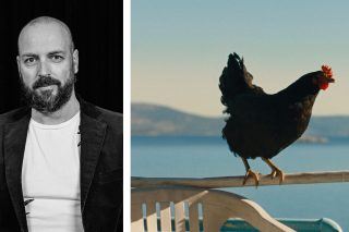gyorgi palfi - hen - kota